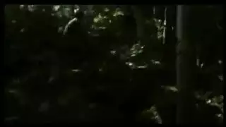 كلاب تنيك بنات الت