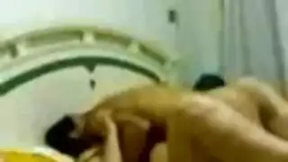 أكبر بذر مصريه