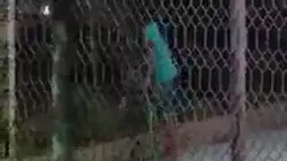 ينكرها بضرب مترجم