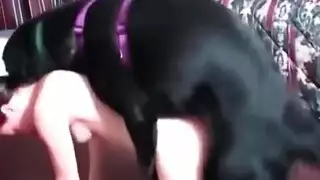 شاذ اشقر مع كلب